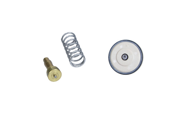 Termostat lichid racire 87C