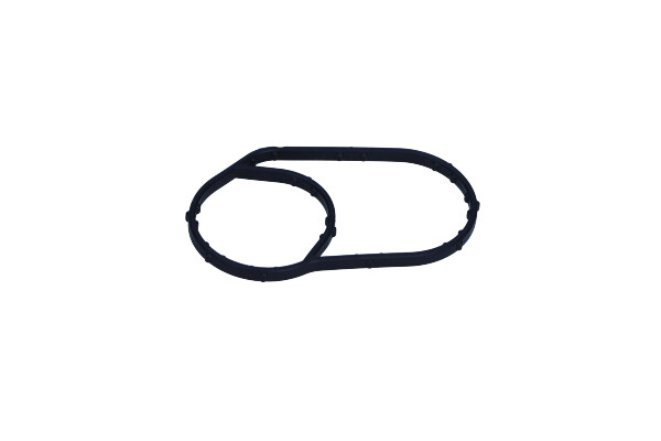 Garnitura carcasa termostat