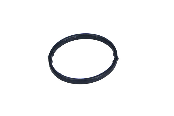 Garnitura carcasa filtru aer