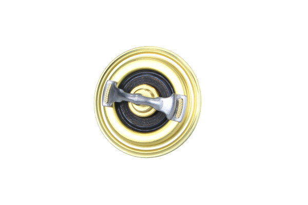 Termostat lichid răcire 82C