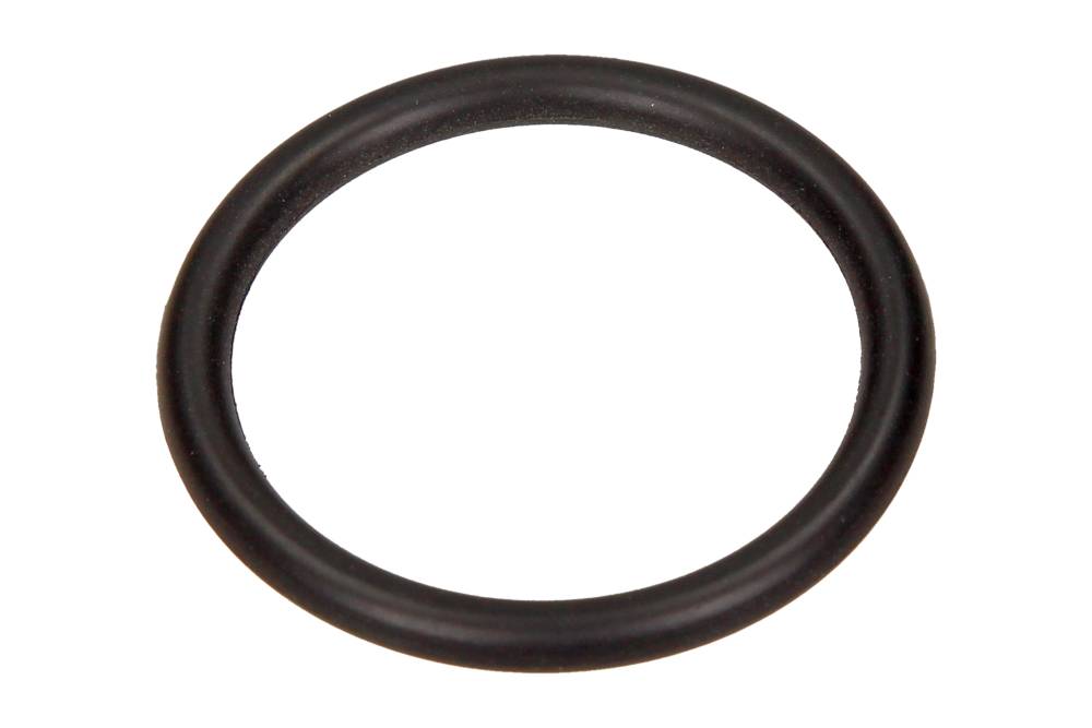 USZCZELNIACZ Niplu APA VW (31.5X3.65)