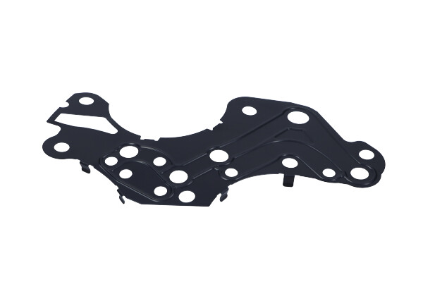 Garnitura, intinzator lant de distributie