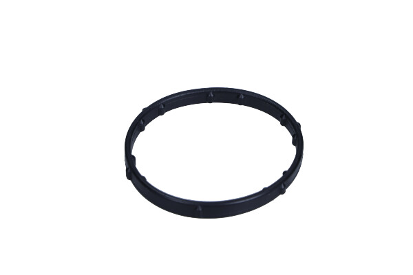 Garnitura termostat
