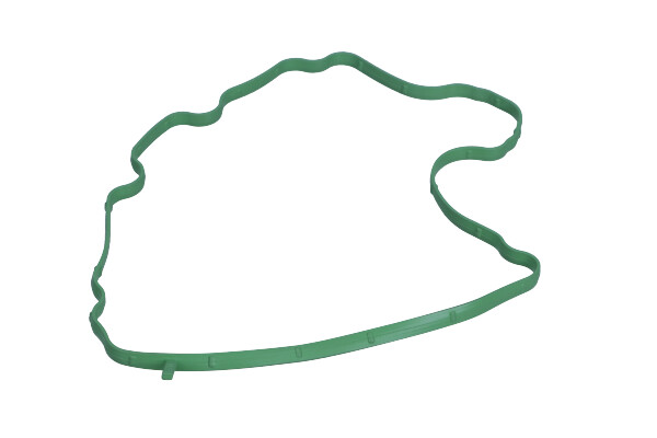 Garnitură aerisire bloc motor