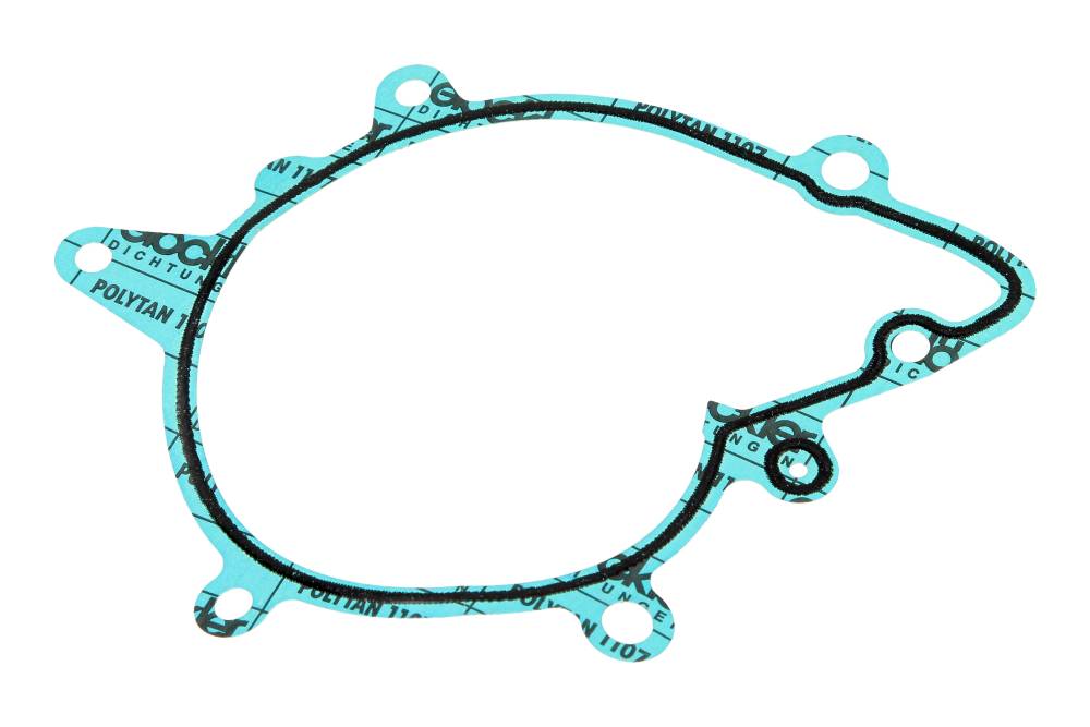 Garnitura pompa de apa