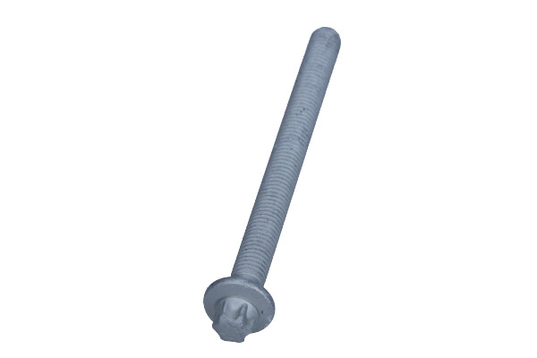 Surub suport injector