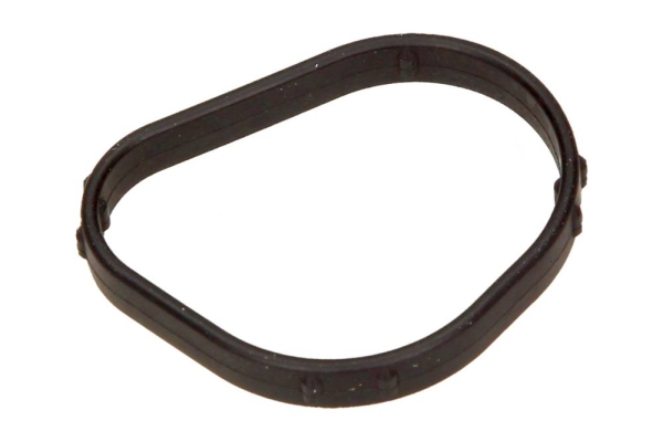 Garnitura termostat