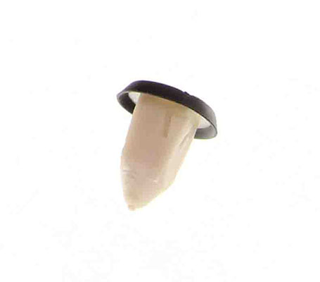 Clip, tampon