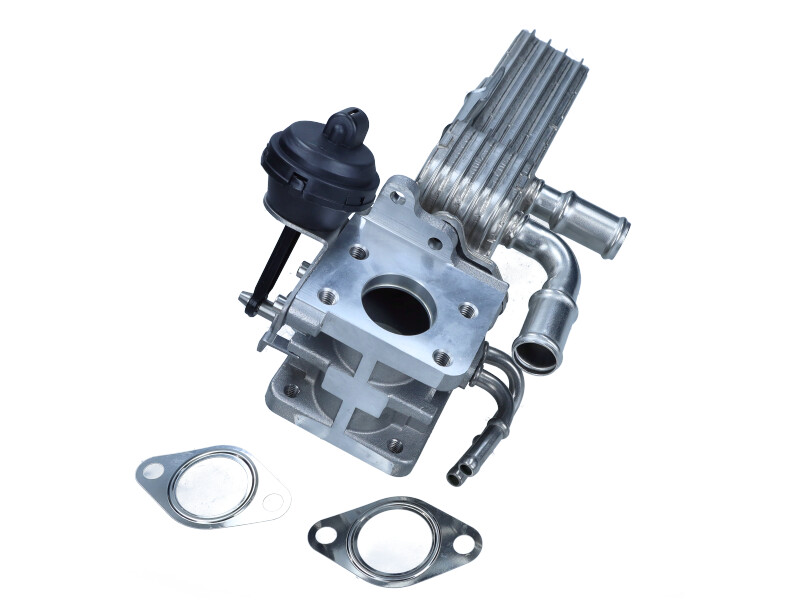 EGR valve