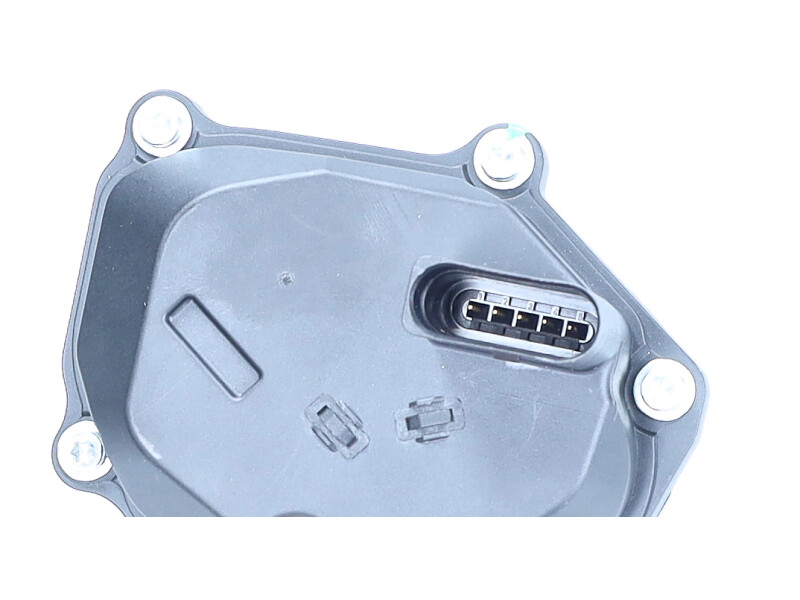 EGR valve