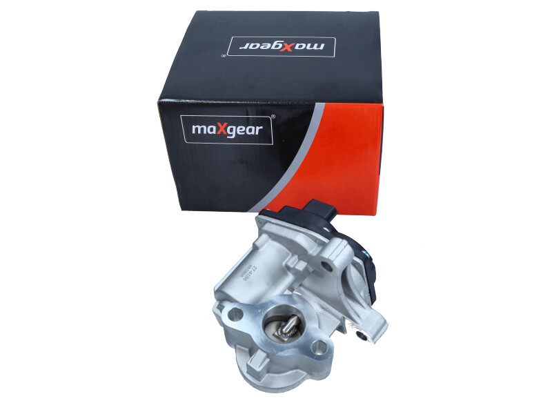 EGR valve