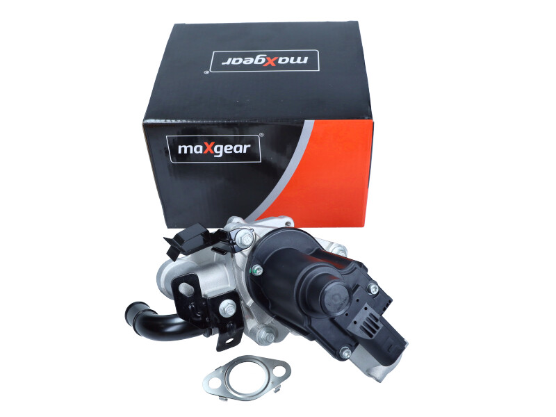 EGR valve