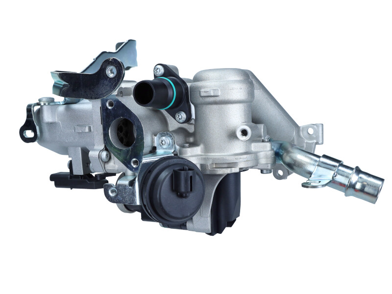 EGR valve