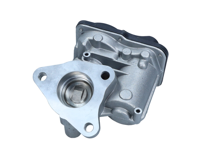 EGR valve