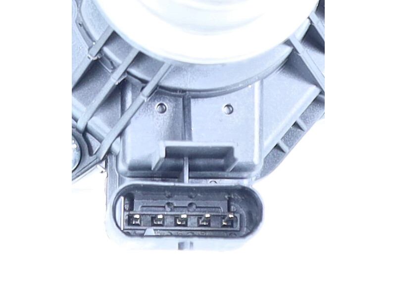 EGR valve