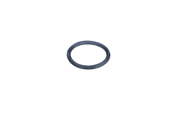 Garnitura carcasa termostat 33 mm