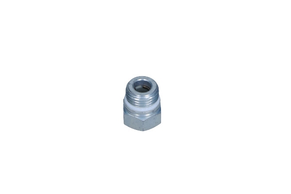 Şurub olandez servodirecţie 21 mm