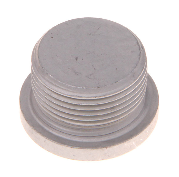 Screw PLUG