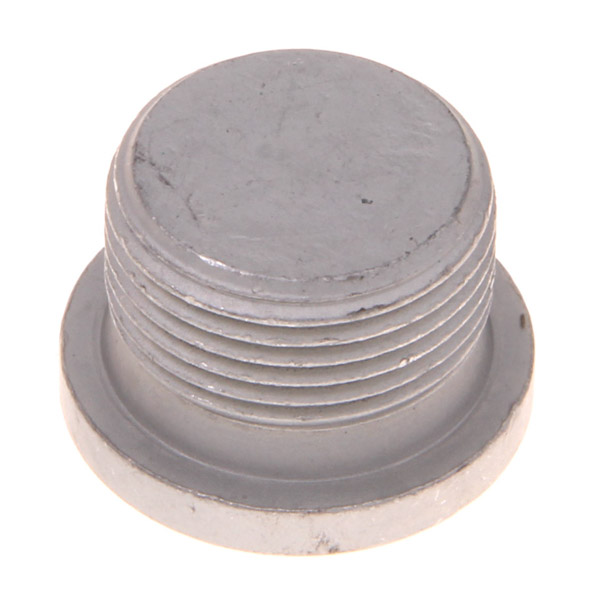 Screw PLUG