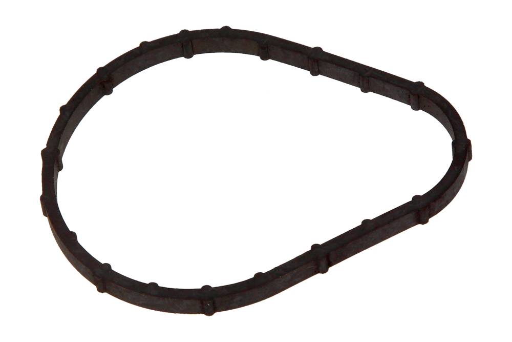 Garnitură carcasă termostat