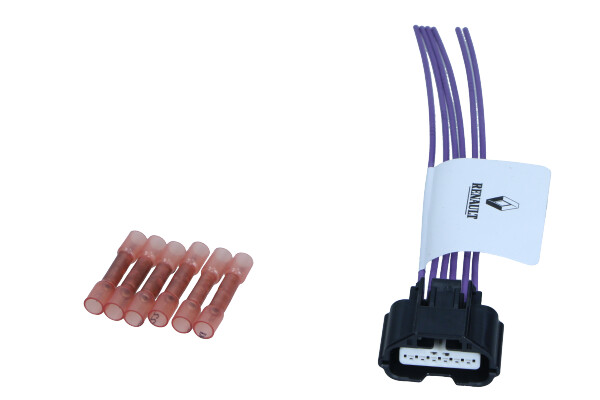 FASCICUL PrzewodOw SUPAPA EGR RENAULT CLIO II ESPACE LAGUNA MEGANE 00-