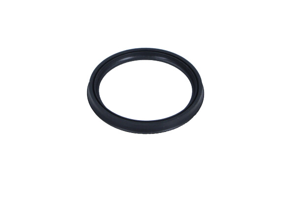 Garnitura, aerisire bloc motor
