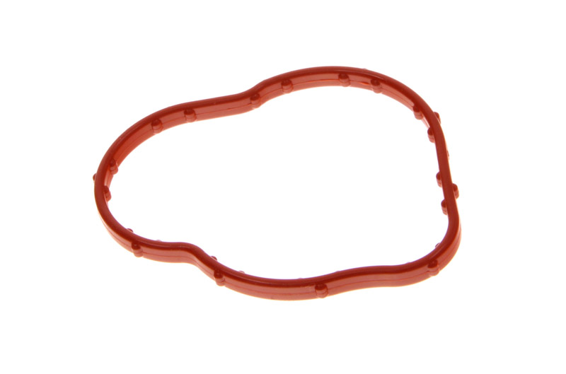 Garnitura termostat