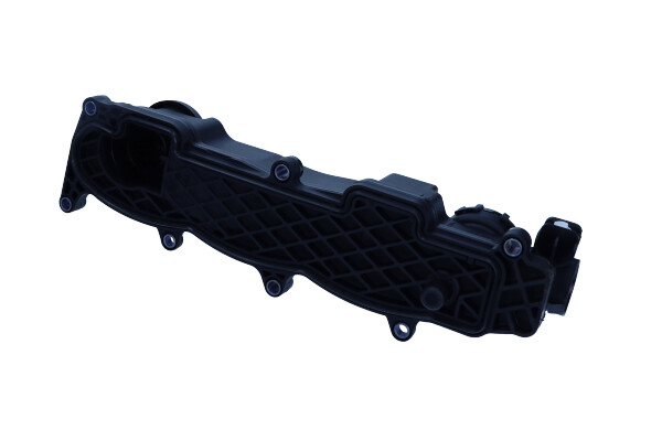 CAPAC ZaworOw CITROEN BERLINGO 1 6D 03-