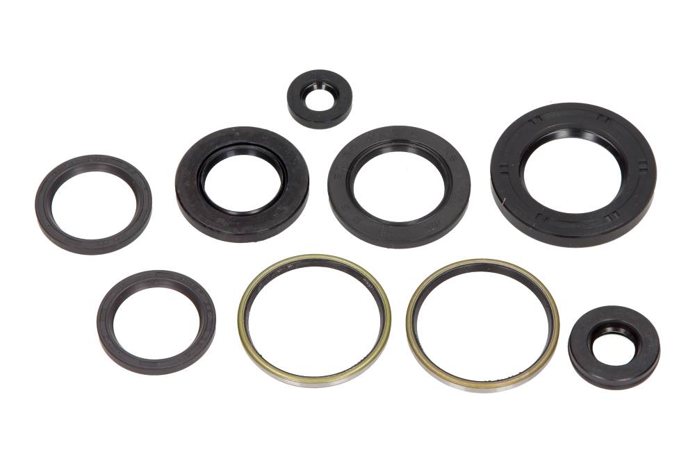 Set garnituri etanșare ulei motor Aprilia Leonardo 250 1999-2004