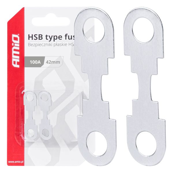 Siguranță fuzibilă plată 42x12 mm 100A set 2 bucăți