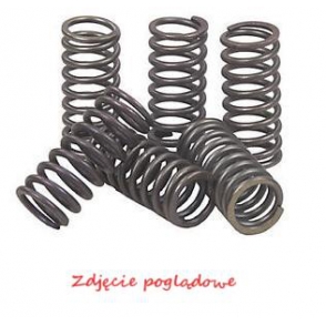Set arc ambreiaj Suzuki 250 SBK2