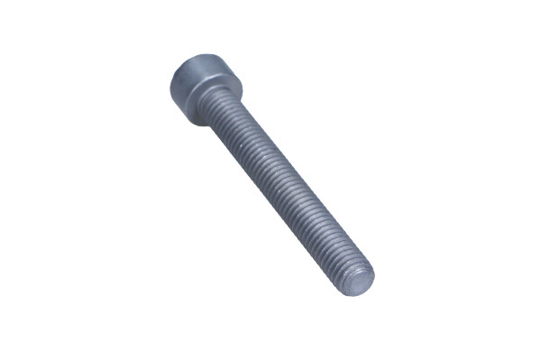 Surub suport injector