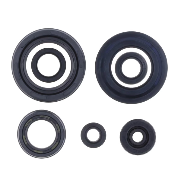 Set garnituri complet motor