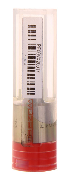 Diuza injector