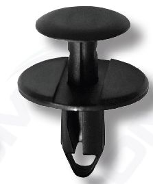 Cep