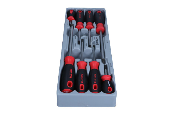 Insert with equipment for a workshop trolley