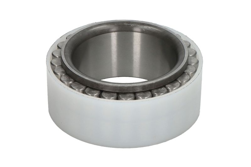 Rulment cilindric dublu-vislit 50x72x31 mm