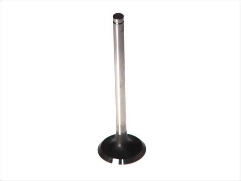 Supapa admisie 123.2 mm 36.0 mm ax 8.0 mm