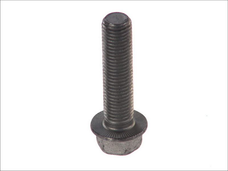 Surub M16x65 mm