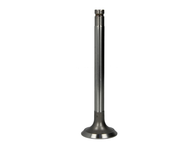 Supapa evacuare 123,4 mm 36,5 mm