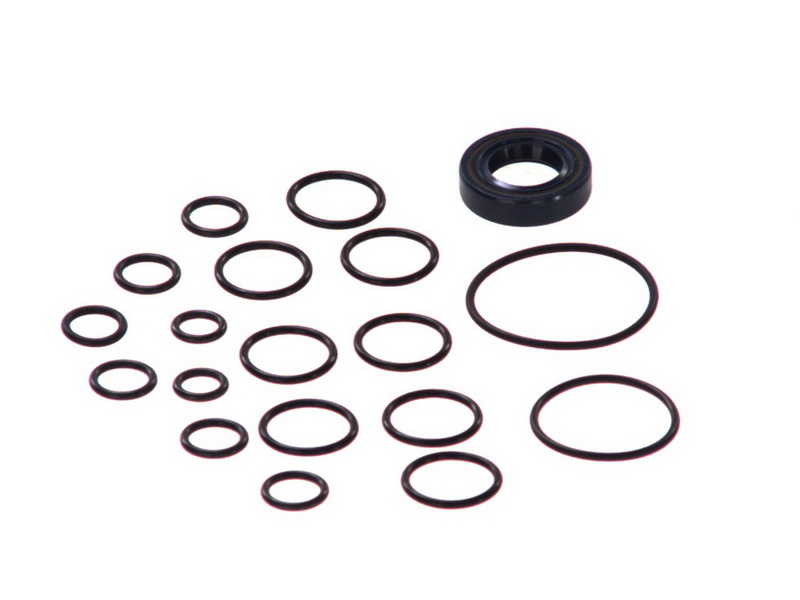 Set de garnituri pompa hidraulica