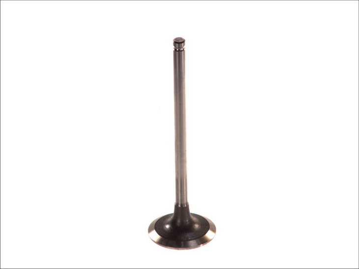 Supapa admisie 106.8 mm 32.8 mm ax 6.0 mm