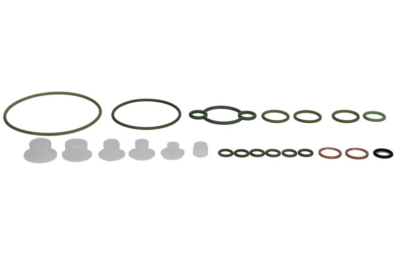 Set reparatie sistem common-rail