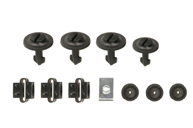 Scut motor