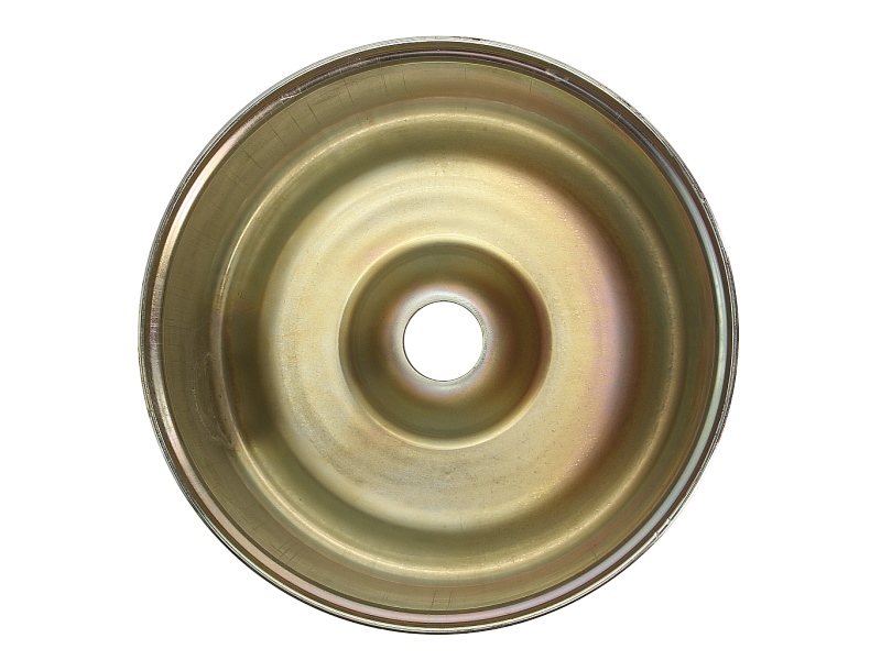 Piston perna de aer otel 197 mm