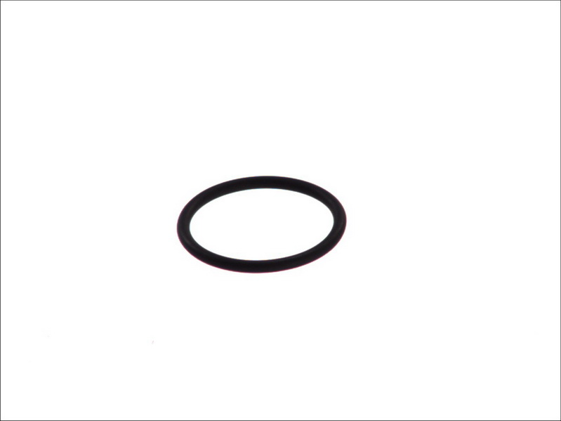 O-ring set 6 bucati