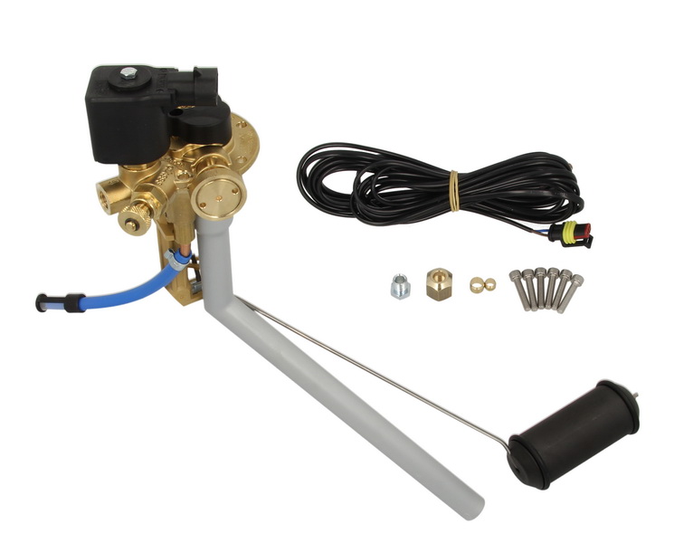 Multivalve toroidale