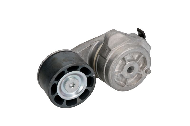 Intinzator curea distributie