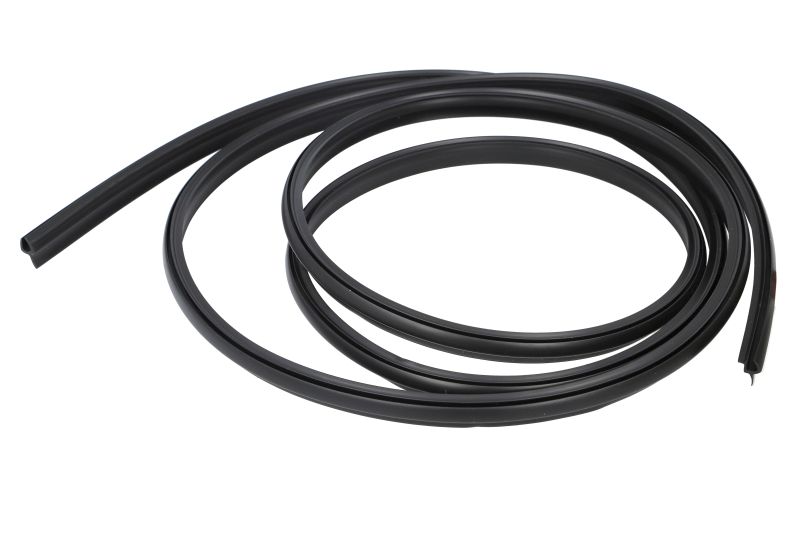 Elemente decorative/protectie parbriz fata