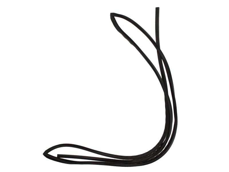 Elemente decorative/protectie parbriz fata